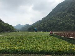 -广州市石门国家森林公园