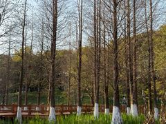 -凤凰沟景区