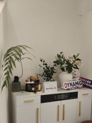 -WENDY·温迪皮肤管理