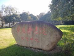 -上海市保健医疗中心