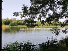 -西安汉城湖景区