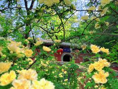 -潭柘寺景区