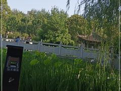 -莲湖公园