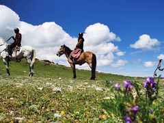 -青海湖国家重点风景名胜区