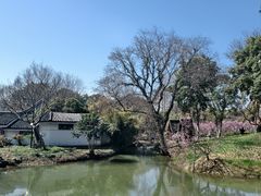 -无锡梅园公园