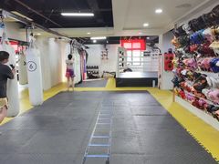 -成泰格斗(环球商业广场店)