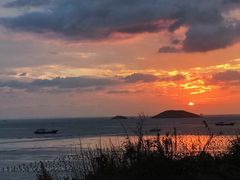 景点-枸杞岛