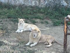 -泉州海丝野生动物世界