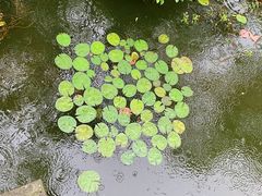 -浙江西子宾馆·牡丹厅