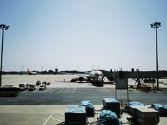 -郑州新郑国际机场