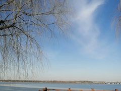 -丁香湖公园