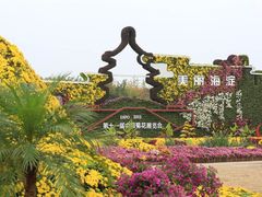 -上海鲜花港