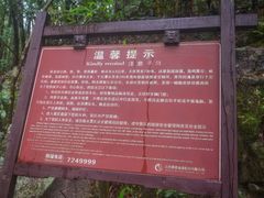 -大鄣山卧龙谷景区