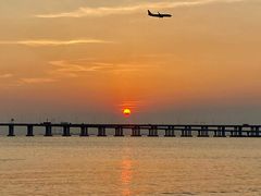 -宝安西湾红树林湿地公园
