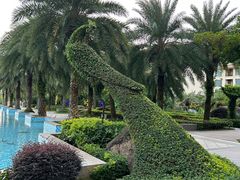 -惠州金海湾嘉华度假酒店