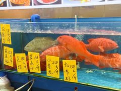 -粤盛海鲜平价店(洛溪食街店)