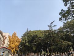 -四川大学(望江校区)