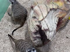 -海合安武汉极地海洋公园