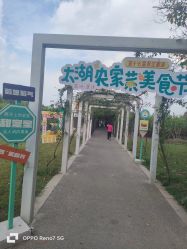 -太湖雪蚕桑文化园