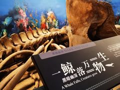 -大连自然博物馆