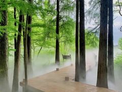 -东湖落雁景区