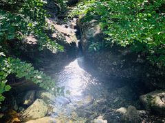 -罗田天堂寨风景区