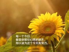 -砂锅李(九江路店)
