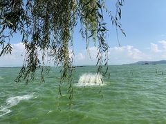-滇池海埂公园