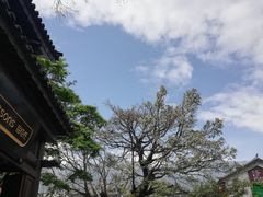 -故事小酒馆