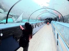 -悉尼海洋生物水族馆