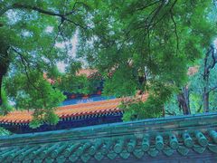-北京国子监胡同