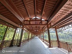 -重庆彩云湖湿地公园