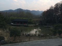 IMG_0331-西院1号(龙井店)