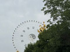 -特克斯八卦城