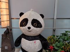 -首都机场t3-c国航两舱休息室