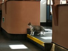 -季季红火锅(长沙步行街店)