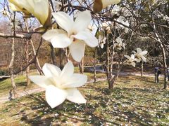 -共青国家森林公园-售票处