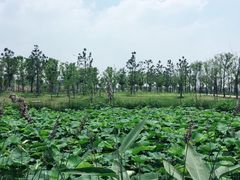 景点-南京市无想山景区