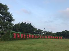 -万绿园