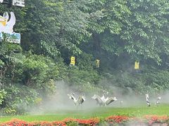 -广州长隆飞鸟乐园