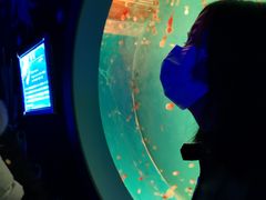 -多彩贵州城极地海洋世界