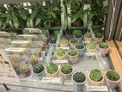 -鹿岛生活(熙地港店)