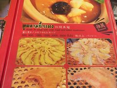 -大中鱼翅 Taitong Shark Fin