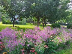 -永定河休闲森林公园