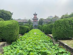 -四川大学(华西校区)