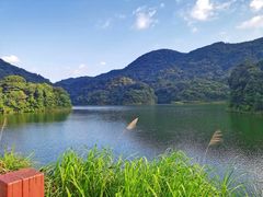 -广州市石门国家森林公园