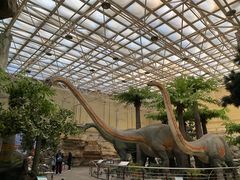 -国家自然博物馆