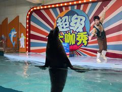 -南昌海洋公园