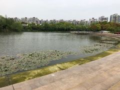 -新江湾城公园