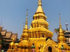 -西双版纳傣族园